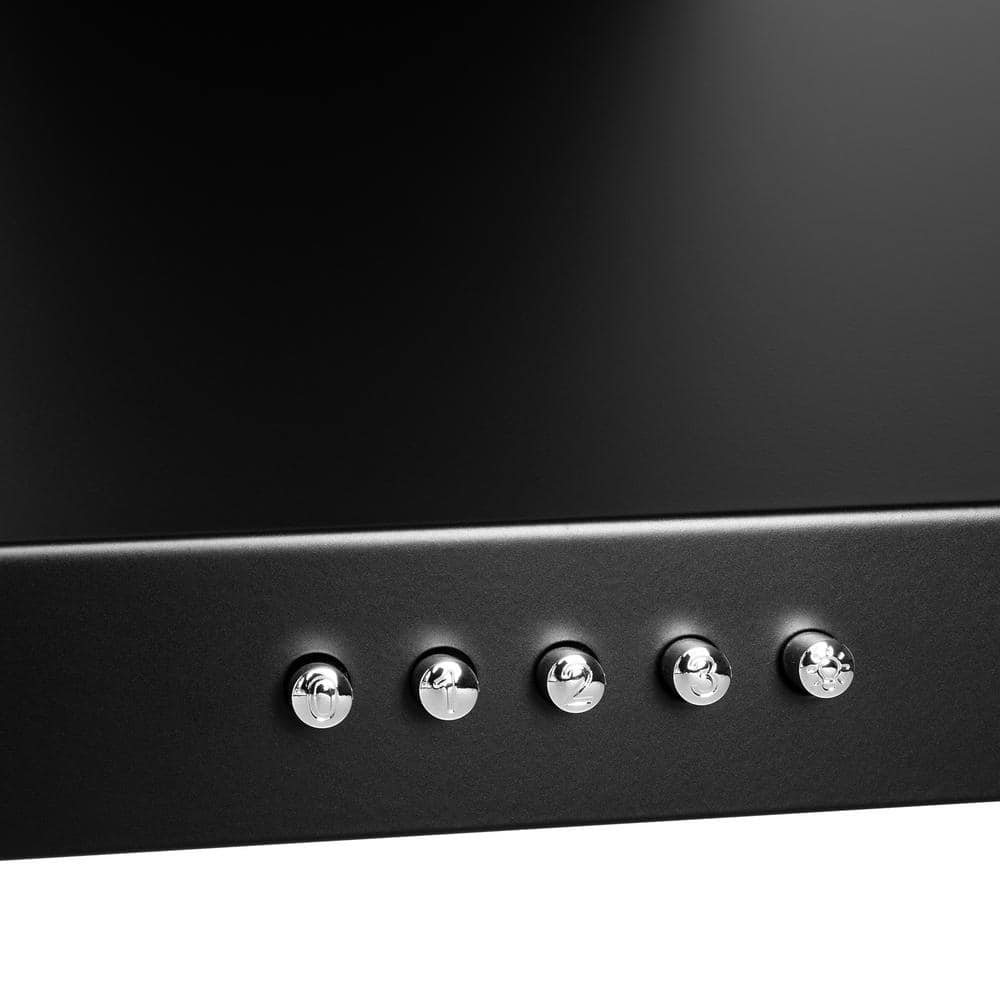 30 In. 217 CFM Convertible Black Painted Stainless Steel Wall Mount Range Hood with LED and Carbon Filters