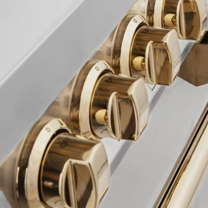 Autograph Edition 48 In. 7 Burner Double Oven Dual Fuel Range in Stainless Steel and Polished Gold
