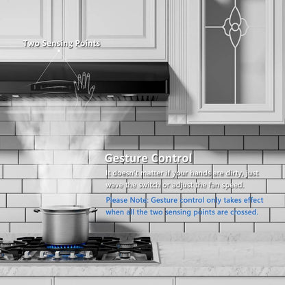 30 In. 900 CFM Ducted under Cabinet Range Hood in Black Stainless Steel with 2 -Way Venting and LED