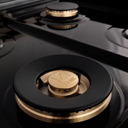 Autograph Edition 48 In. 7 Burner Double Oven Dual Fuel Range in Stainless Steel and Polished Gold